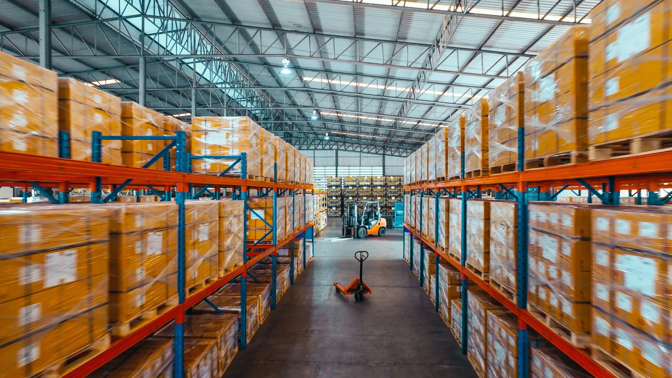 Warehouse shelving and packaged goods in a logistics facility